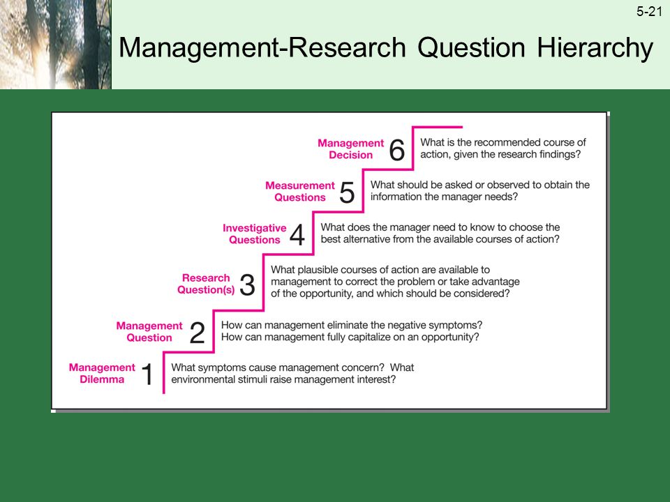 research question examples management