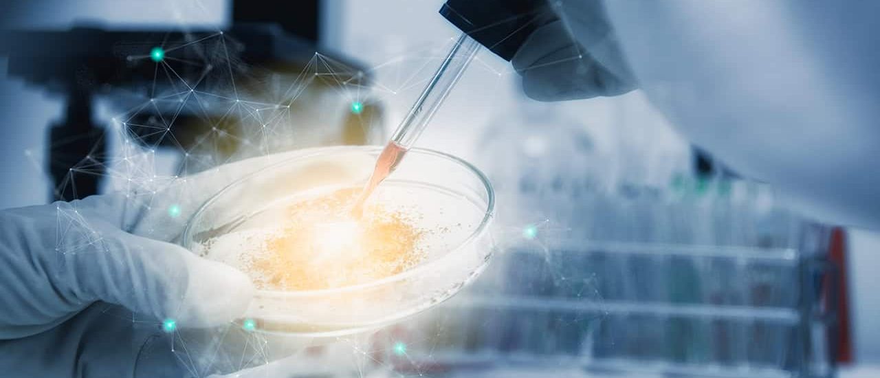 Stem Cell Research Paper Topics