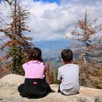 Environmental Science Dissertation Topics