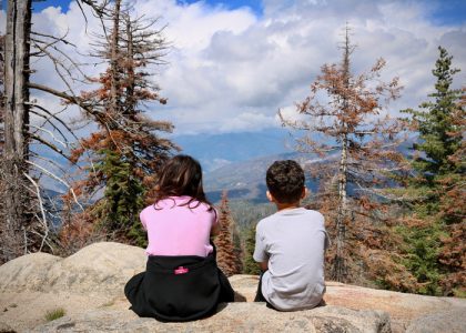 Environmental Science Dissertation Topics