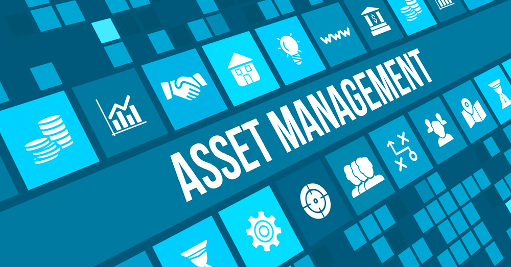 Asset Management Dissertation Topics