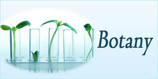 research topics about botany